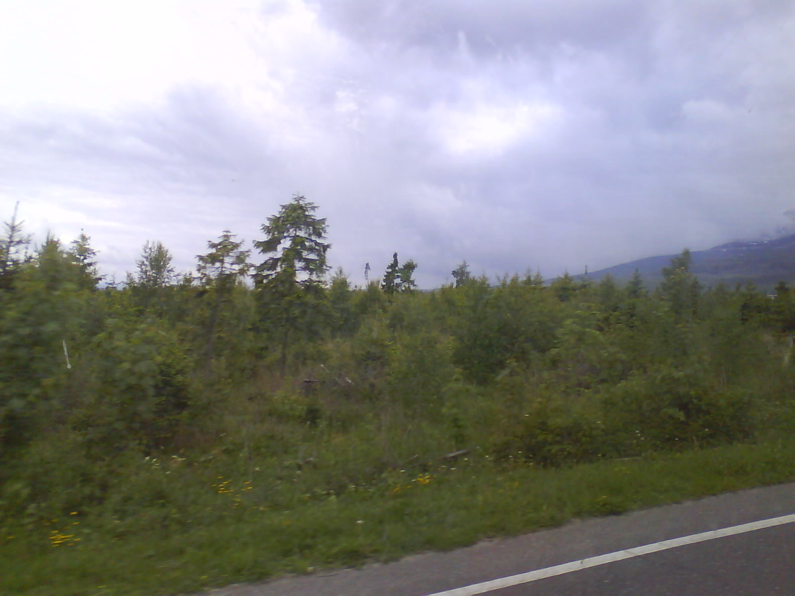 DSC00085.JPG