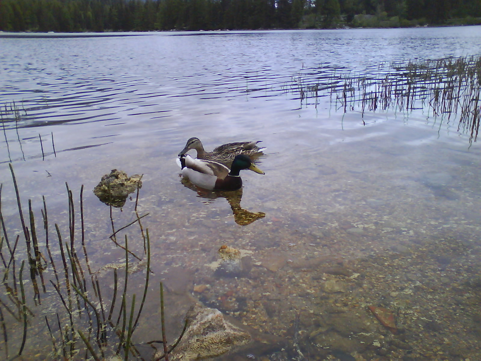 DSC00098.JPG