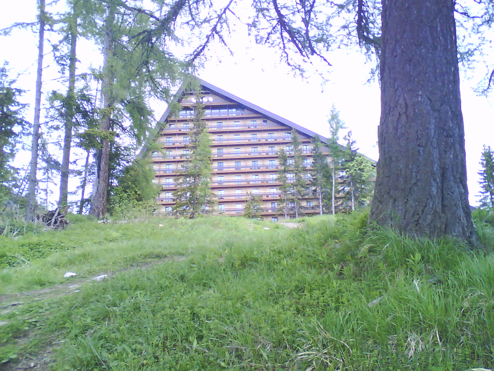DSC00102.JPG